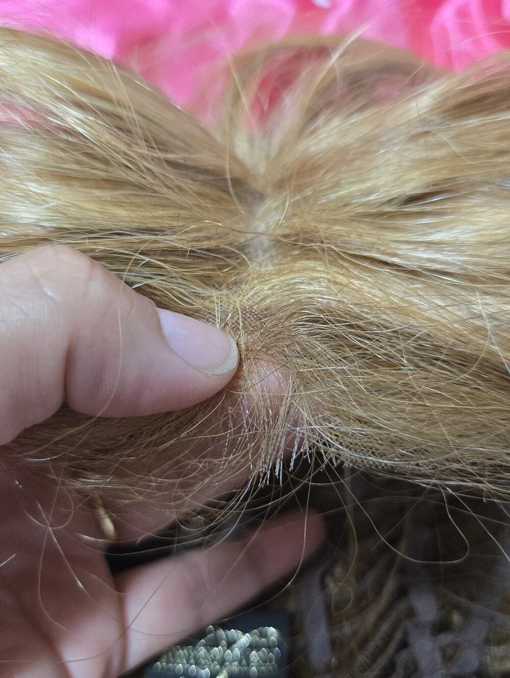 Tony Of Beverly Honey Blonde Lace Front Short Bob Wig